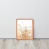 Dried Prairier Grass White Flowers | Framed Poster