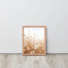 Dried Prairier Fluffy Grass | Framed Poster