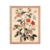 Vintage Floral Motifs with Red Berries 03 | Framed poster