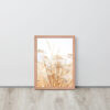 Dried Prairier Grass White Flowers | Framed Poster