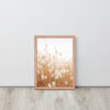 Dried Prairier Fluffy Grass | Framed Poster