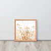 Dried Prairier Grass White Flowers | Framed Poster