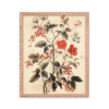 Vintage Floral Motifs with Red Berries 03 | Framed poster