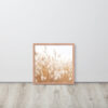 Dried Prairier Fluffy Grass | Framed Poster