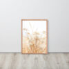 Dried Prairier Grass White Flowers | Framed Poster