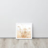Dried Prairier Grass White Flowers | Framed Poster