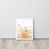 Dried Prairier Grass White Flowers | Framed Poster