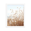 Fluffy Grass Wall Art with Seascape Background | Framed poster