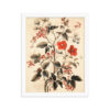 Vintage Floral Motifs with Red Berries 03 | Framed poster