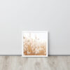 Dried Prairier Fluffy Grass | Framed Poster