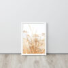 Dried Prairier Grass White Flowers | Framed Poster