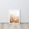 Dried Prairier Fluffy Grass | Framed Poster