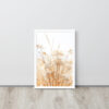 Dried Prairier Grass White Flowers | Framed Poster
