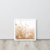 Dried Prairier Fluffy Grass | Framed Poster