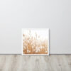 Dried Prairier Fluffy Grass | Framed Poster