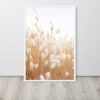 Dried Prairier Fluffy Grass | Framed Poster