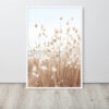 Fluffy Dry Grass Framed Poster