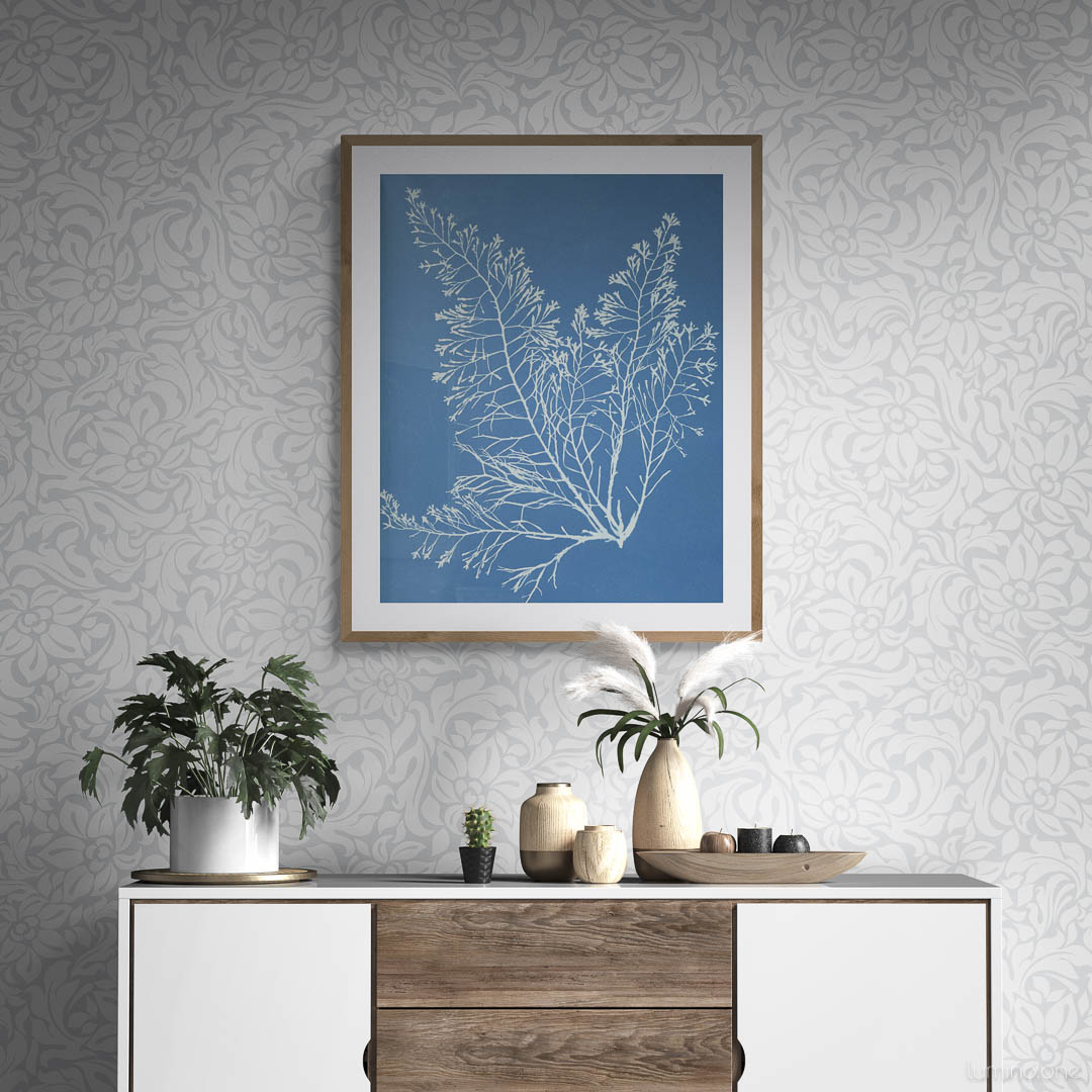 NYPL Cystoseira Granulata - Free Printable Vintage Wall Art