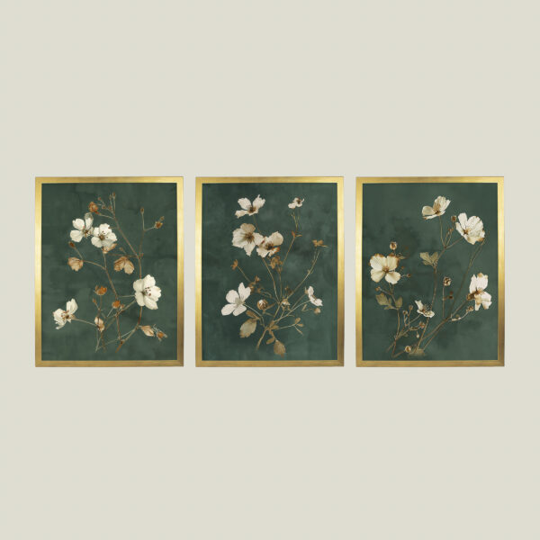 Dark & Moody Floral Print Set of 3 Pressed Flowers - Framed Fine Art Posters