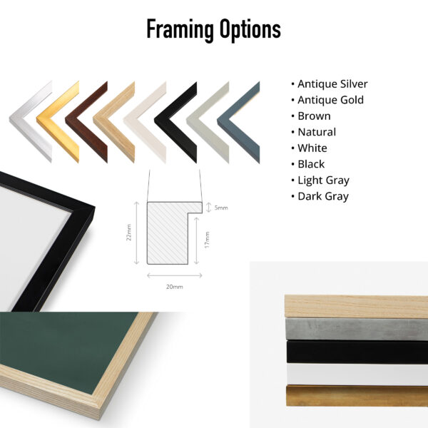 Framed Fine Art Print Framing Options