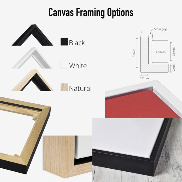 Float Frame Gallery Wrap Canvas Framing Options - Black, White, Natural Wood